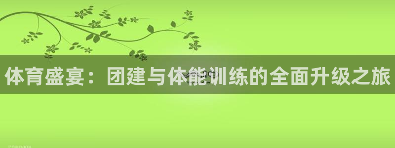 3377体育官方正版app娱乐代理怎么样：体育盛宴：团建与体