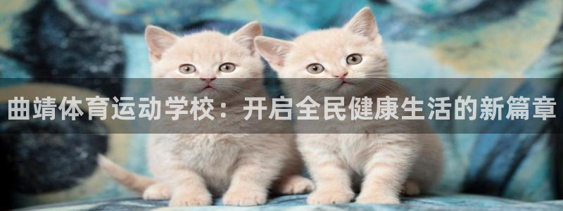 3377体育官网下载招商电话是多少：曲靖体育运动学校