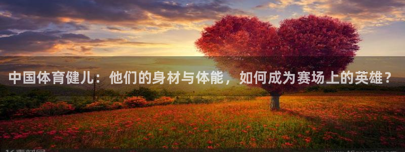 3377体育官网下载招商电话是多少：中国体育健儿：他