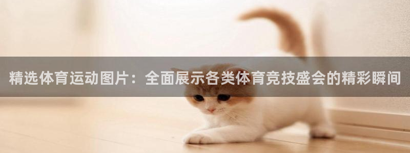 3377体育官方正版app集团：精选体育运动图片：全面展示各