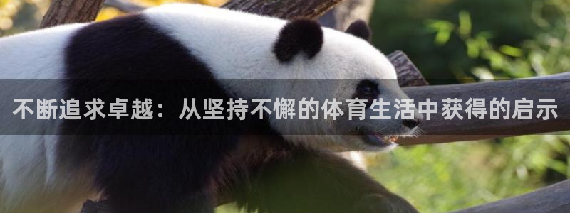 3377体育官网下载软件
