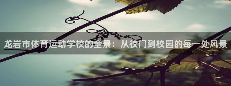 3377体育官方正版app娱乐代理怎么样：龙岩市体育