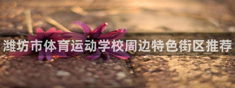 3377体育官网下载联系电话：潍坊市体育运动学校周边特色街区
