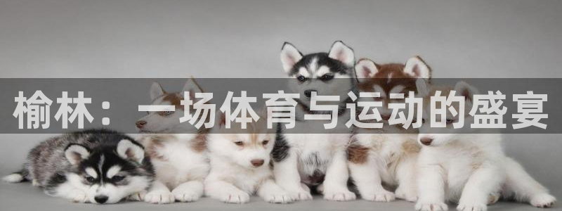3377体育官网下载官方客服电话：榆林：一场体育与运动的盛宴