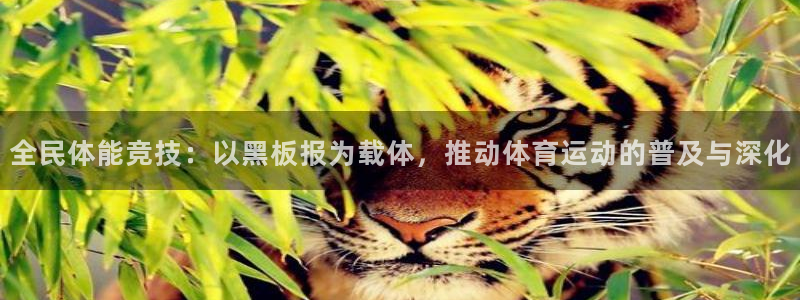 3377体育官网下载招商电话是多少：全民体能竞技：以黑板报为
