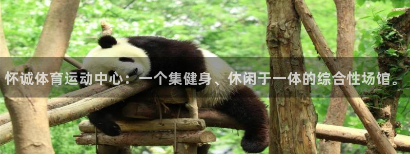 3377体育官网下载是干嘛的公司：怀诚体育运动中心：一个集健
