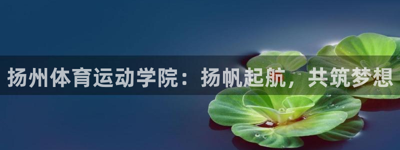 3377体育官网下载招商电话是多少号码