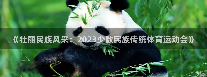 3377体育官网下载娱乐：《壮丽民族风采：2023少数民族传