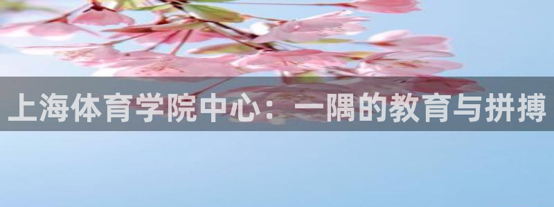 3377体育官方集团官网：上海体育学院中心：一隅的教育与拼搏