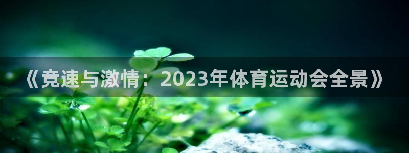 3377体育官方正版app集团简介：《竞速与激情：2023年