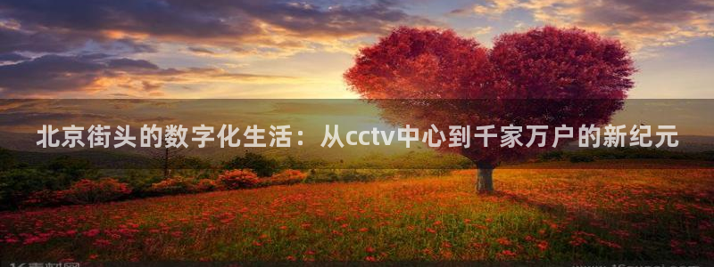 河豚nba篮球直播在线观看