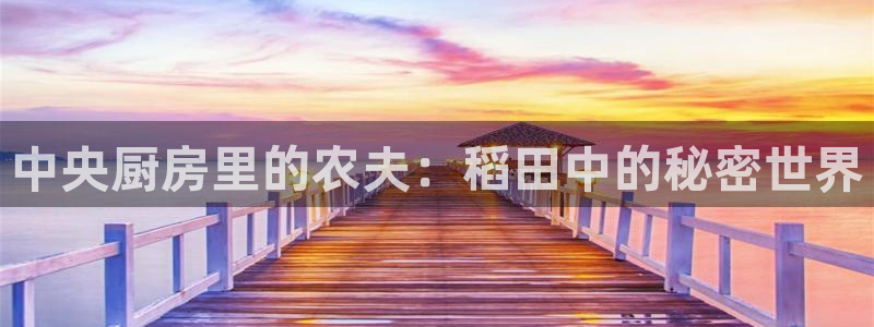 河豚体育