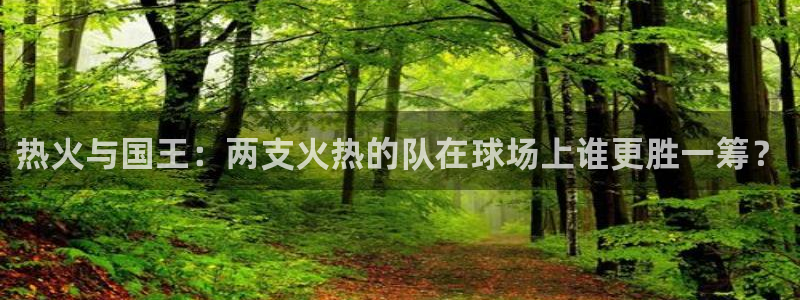 河豚直播看球app下载最新版：热火与国王：两支火热的队在球场上谁更胜一筹？