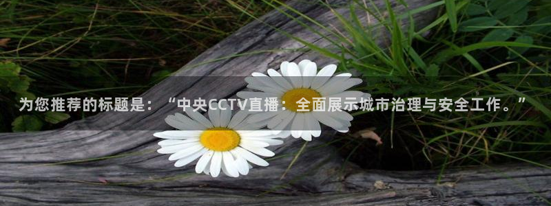 河豚体育直播免费下载：为您推荐的标题是：“中央CCTV直播：全面展示城市治理与安全工作。”