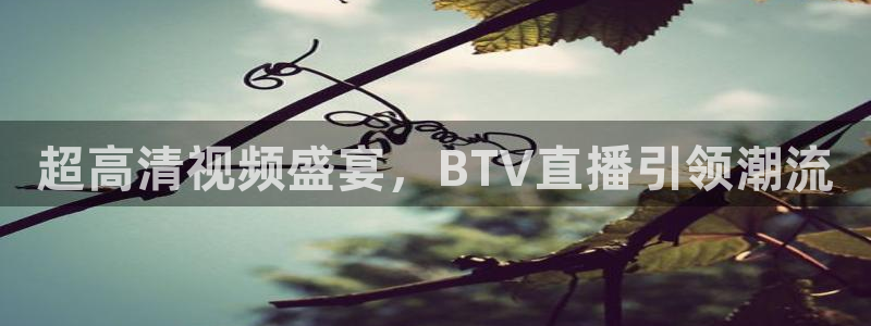 河豚体育在线观看直播：超高清视频盛宴，BTV直播引领潮流