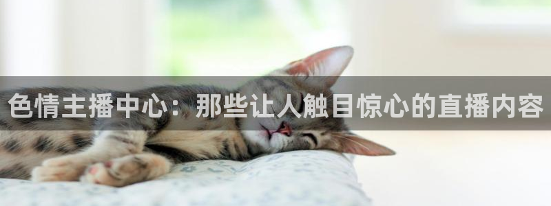河豚体育在线直播nba：色情主播中心：那些让人触目惊心的直播内容